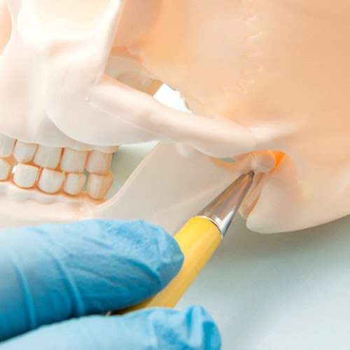 Gloved hand point to TMJ on human skull